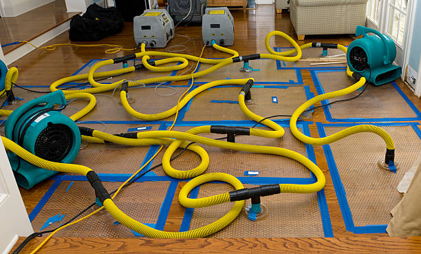 Professional Crawl Space Water Removal technician working in Westley, CA